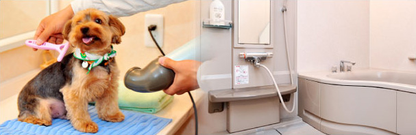 専用ペットバス